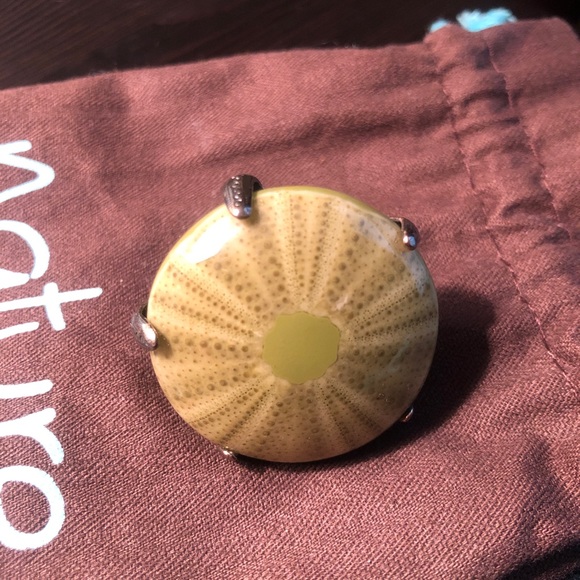 Nature Bijoux Sea Urchin & Silver Adjustable Size Ring - Picture 2 of 5
